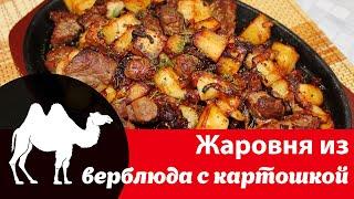 Как вкусно приготовить блюдо из верблюжатины: рецепт жарки картошки с мясом верблюда и луком