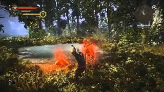 The Witcher 2 - Combat