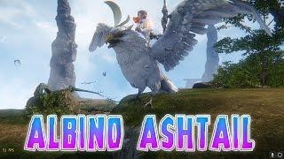 Riders of icarus - Domando Albino Ashtail Pintinho Chato !