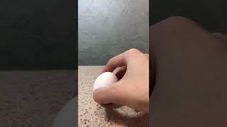 Эксперимент фокус как поставить яйцо