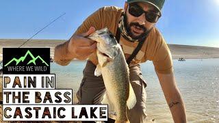 PAIN IN THE BASS - Castaic Lake Fishing