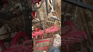 Cultivating cucumbers with IH farmall 140 #farmall #ih #gardening #homesteading #garden
