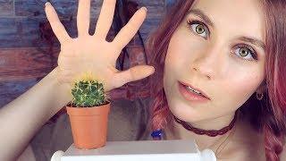 ASMR  relaxing CACTUS SOUNDS & ear touching layered inaudible to hypnosis - SR3D MIC TEST