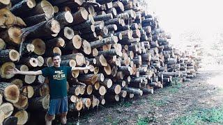 Firewood Inventory - September 2020 | Do I have 100+ Cords?