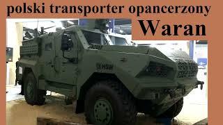 polski transporter opancerzony Waran - omówienie i opis