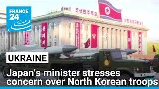 Japan's minister visits Ukraine to stress mutual concern over North Korean troops • FRANCE 24