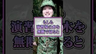 もしも演習場の木を無断で切ると