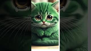 Greenie #Greenie #cat #cutecat #greeniecat