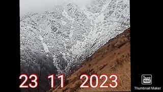 23 ноября 2023 г.