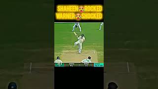 Shaheen Shah vs David Warner #short #viral #cricket #viral #ICC #cricketovers #IPL #PSL #trending !!