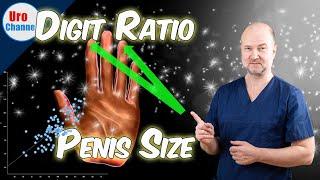 Your fingers reveal your penis size - but it's a CORRELATION! | UroChannel