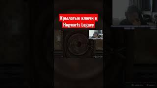 Хитроумные ключи в Hogwarts Legacy - Часть 1