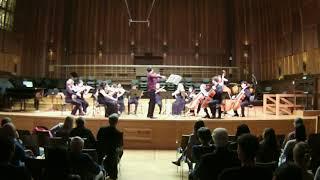 Francesco Sica performing Verano Porteno (Summer) by Astor Piazzolla.
