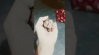 4 fingers??????