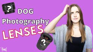 Which lens to get for DOG PHOTOGRAPHY? Comparing 50mm vs. 17-40mm lenses!