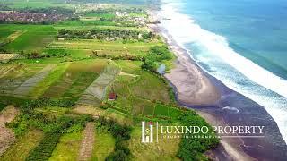 SUDIMARA – BEACHFRONT LAND FOR SALE IN NEAR YEH GANGGA TABANAN