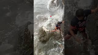 Terrified Dog Stranded on Rocks Rescued in Intense Rescue Mission | The Dodo