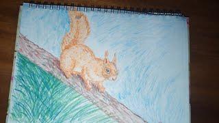 Нарисовать Рыжую Белку /Как  Нарисовать Бельчонка / How to draw a Squirrel / Влог