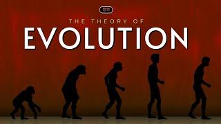 The Theory of Evolution – [Hindi] – Quick Support