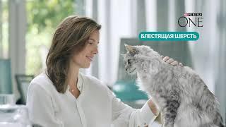 Purina ONE® для кошек