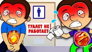 Удивительные факты о человеческом теле. Сборник