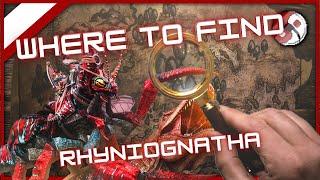 Where To Find THE Rhyniognatha Spawn Locations Ark Spawn Map