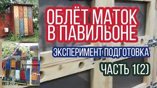 Вывод, облет маток в пчелопавильоне. Эксперимент. Подготовка. Пчеловодство. Кассетные павильоны.1(2)