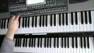 "НОСТАЛЬГИЯ ПО 80-ЫМ"   KORG PA900 _ Igor Korg