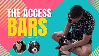 Access Bars with Dr. Dain Heer | The Global Access Bars Class