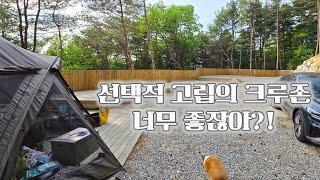 승용캠퍼의 비애 l 선택적고립 l 급경사사이트
