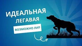 Можно ли добиться идеальной работы легавой?