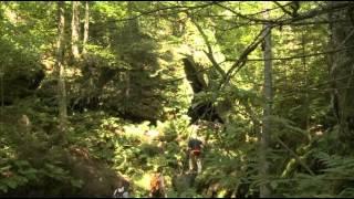 Long Trail Hike In Vermont | Windows to the Wild