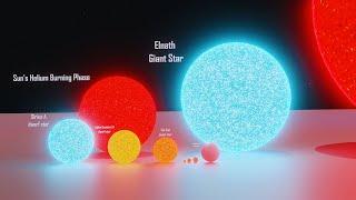 Star Size Comparison 3d | 3D Animation Comparison 2024