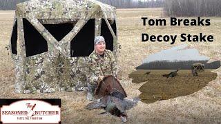 Barronett Hi-Five blind hunt over Avian-X decoys.  Tom splits off from flock to attack decoy.