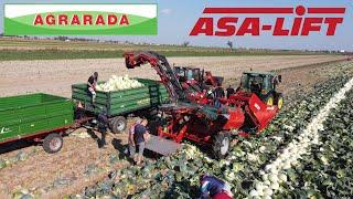 ASA-LIFT TC-1010E Ciągany kombajn do kapusty przemysłowej. Trailed cabbage harvester.