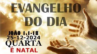 EVANGELHO DO DIA 25/12/2024 Jo 1,1 18 HOMILIA DIÁRIA DE HOJE LITURGIA DIÁRIA eVIVA É NATAL