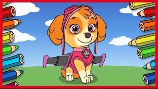 Щенячий патруль. Рисуем Скай. Paw Patrol. Skye.