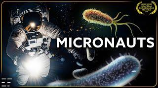 A journey into the microcosmos | FULL DOCUMENTARY