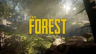 Как пользоваться читами в игре The Forest