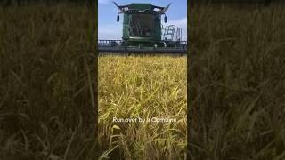 Run over by a Combine #viral #trendingshorts #dangerous