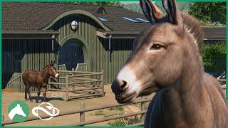 Building a DONKEY BARN in the Elm Hill City Zoo! | Planet Zoo