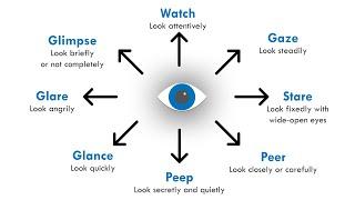 Different ways of "looking"