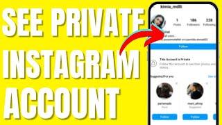 How to See Private Account Followers on Instagram (2024)