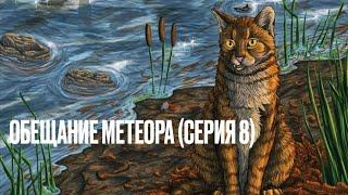 Аудиокнига КОТЫ-ВОИТЕЛИ« Обещание Метеора»(«Западня»). Серия 8