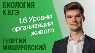 1.6. Уровни организации живых организмов | Общая биология к ЕГЭ | Георгий Мишуровский