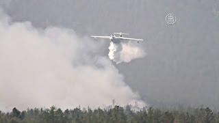 Лесные пожары в Сибири победить пока не удаётся (новости)