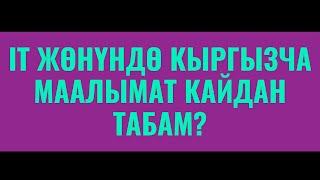 Кыргызча IT макалалар | Айдана Омурбаева