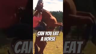 How Strong or Stupid Can Horse Be? #joerogan #michealchandler #horseriding