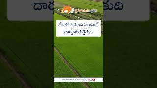 Farming Resilience: Motivational Stories from Farmers Who Never Gave Up @JaiHoKisan