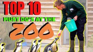 TOP 10 things you MUST do at the ZOO, from a zookeeper.